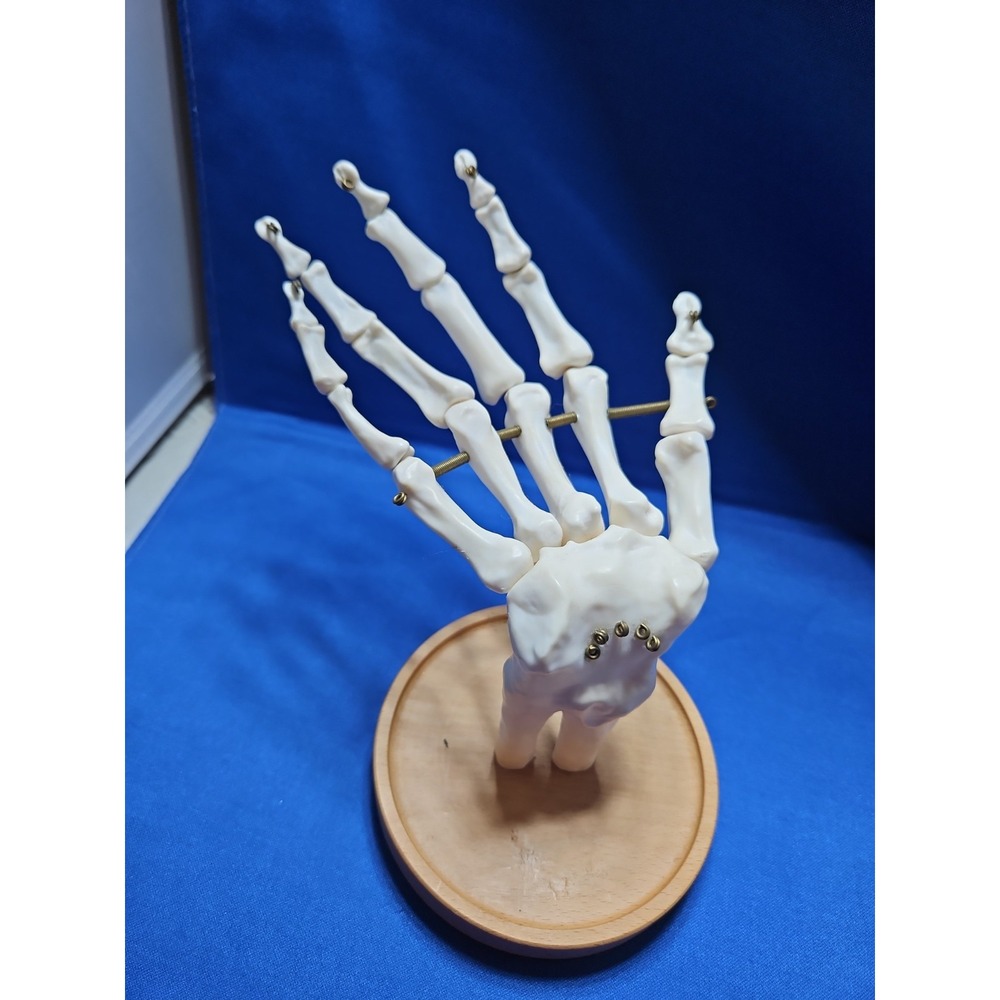 Skeleton Hand Jewelry Stand Ring Necklace Holder Gothic Halloween Life-Size